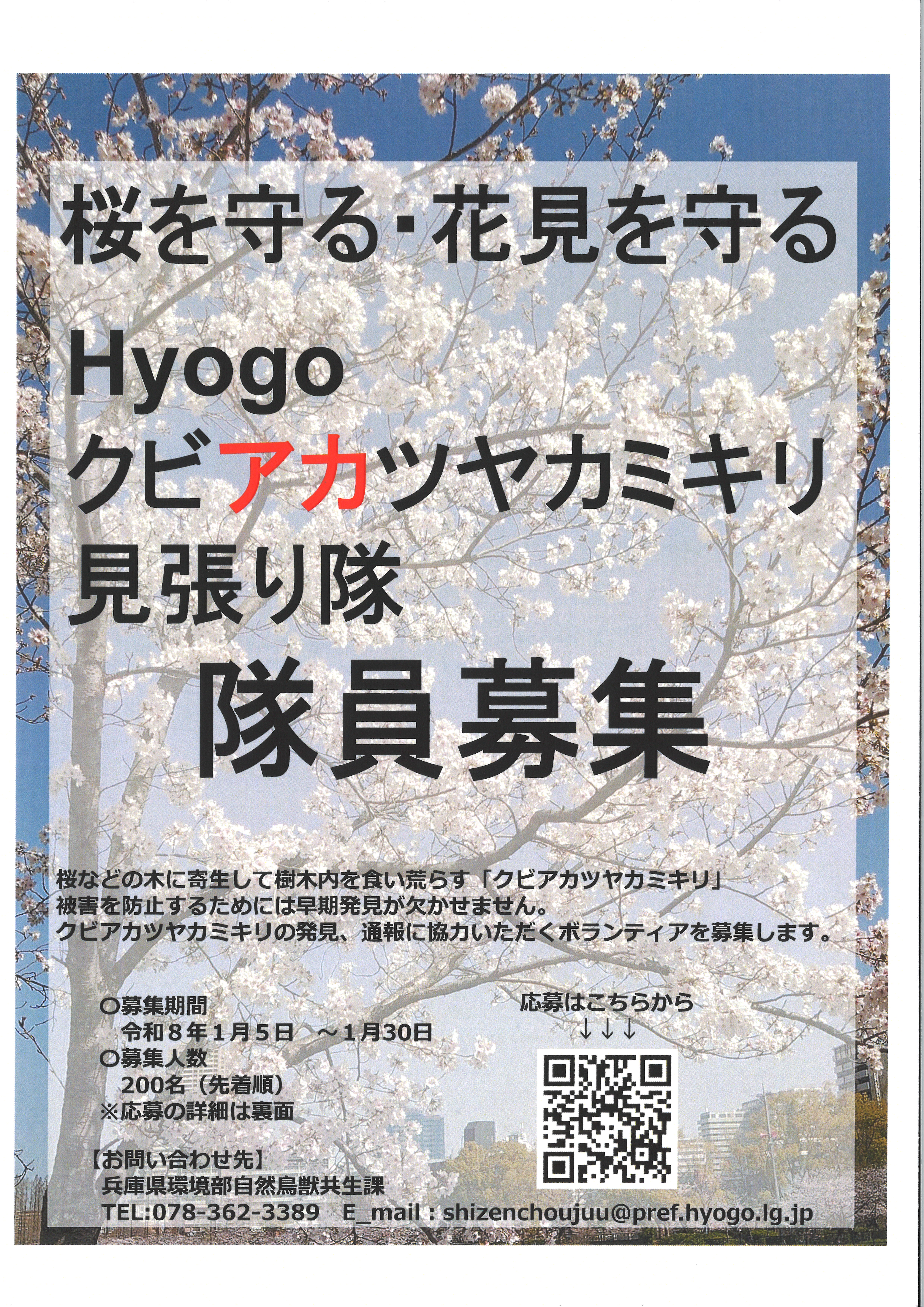 「Hyogoクビアカツヤカミキリ見張り隊」の隊員募集中！のアイキャッチ