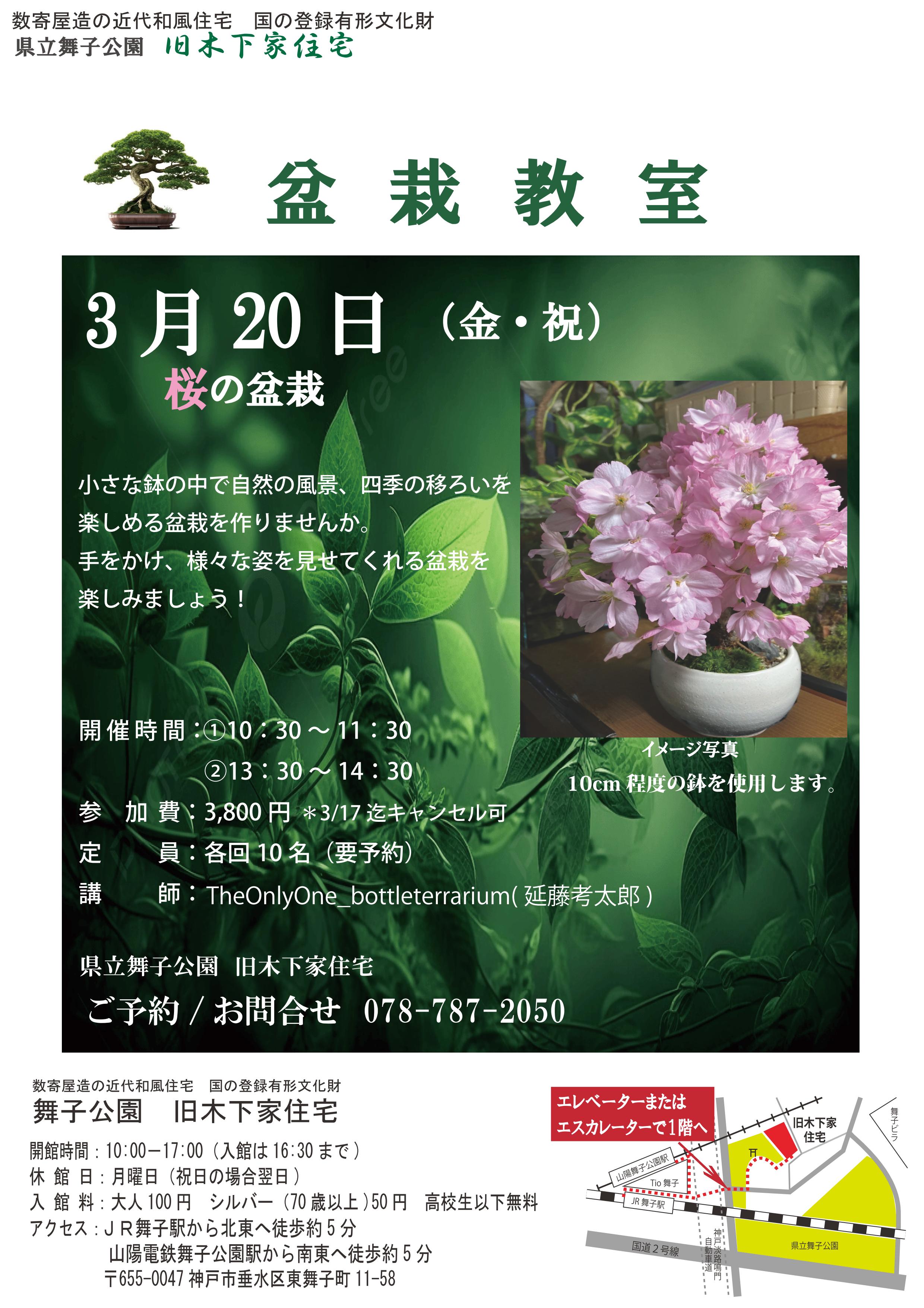 旧木下家住宅　3/20(金・祝)　盆栽教室開催のアイキャッチ