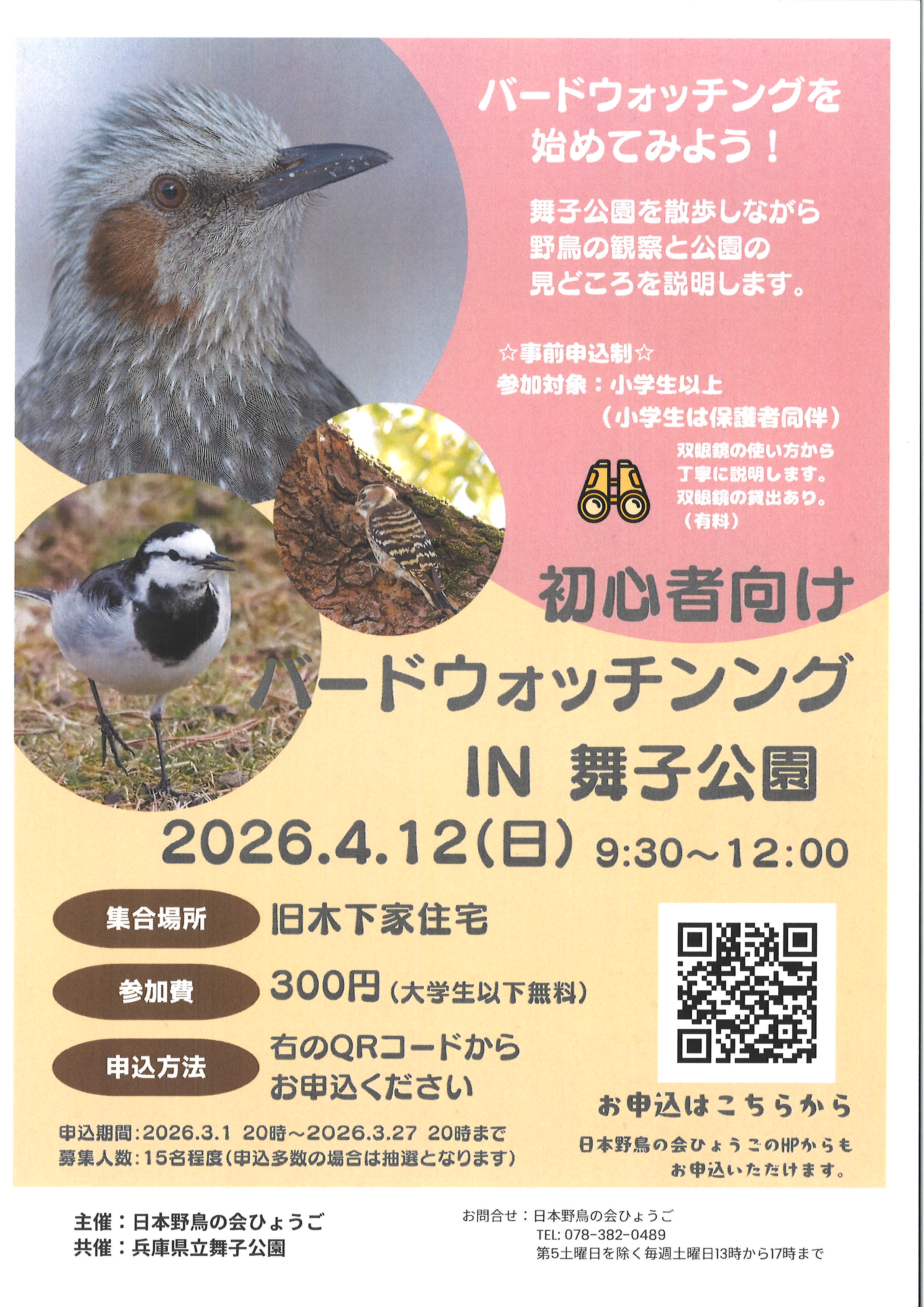 バードウォッチングIN舞子公園のアイキャッチ