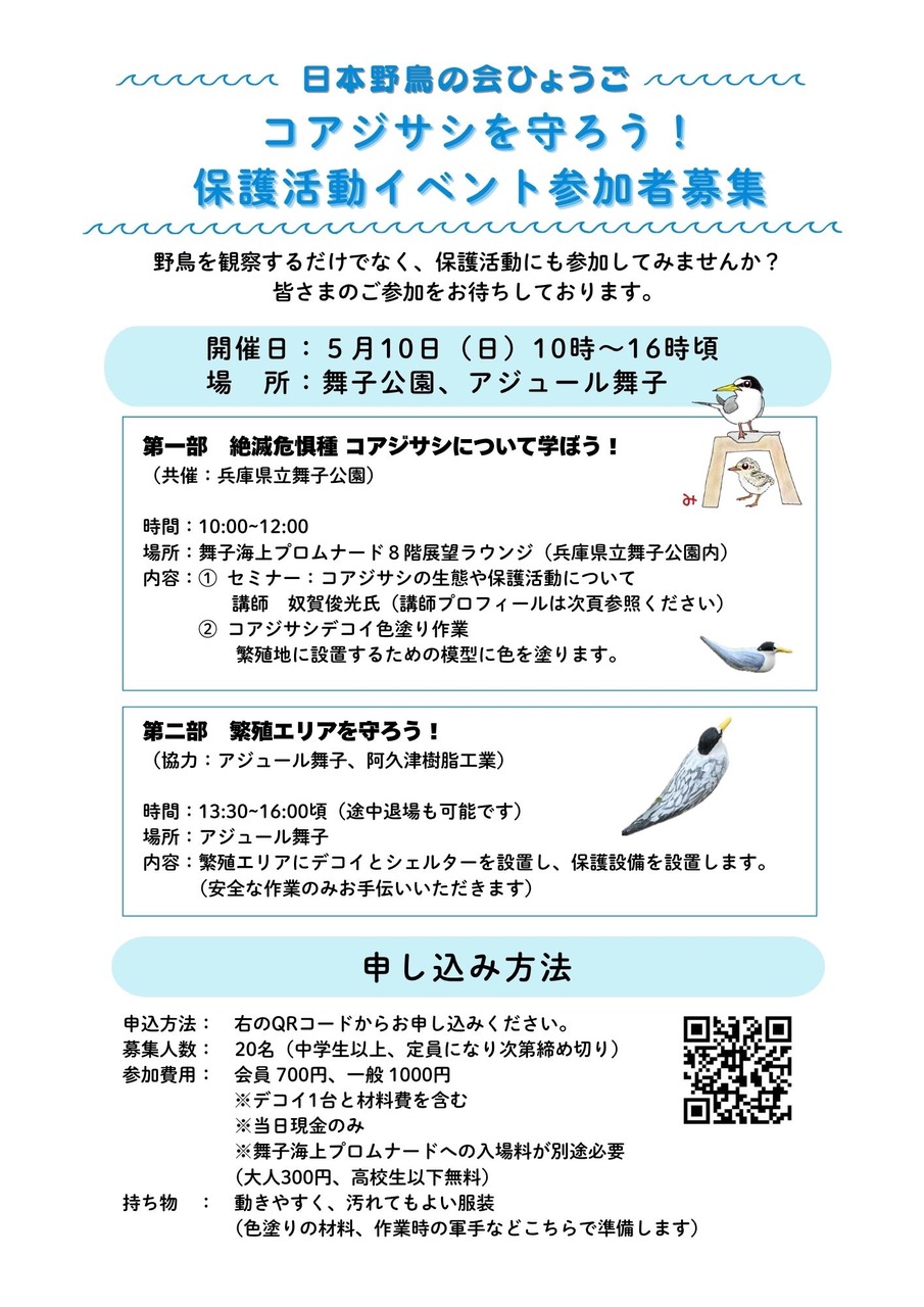 コアジサシを守ろう！保護活動イベント参加者募集　のアイキャッチ