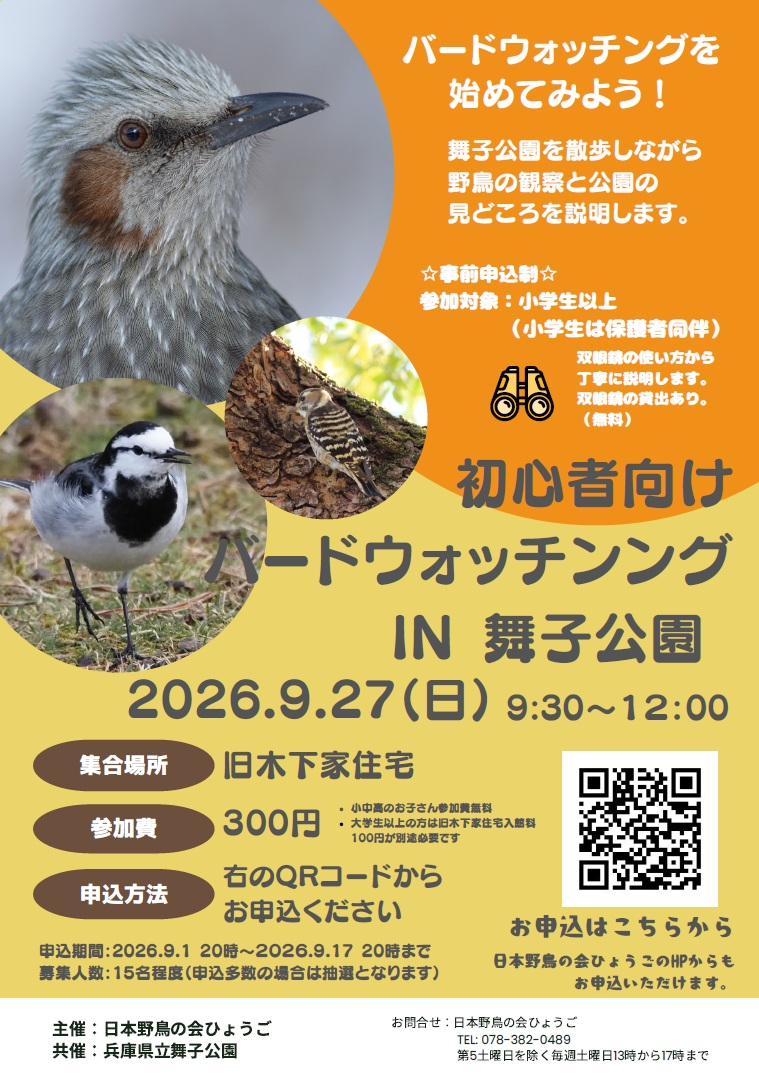 初心者向けバードウォッチングin舞子公園のアイキャッチ